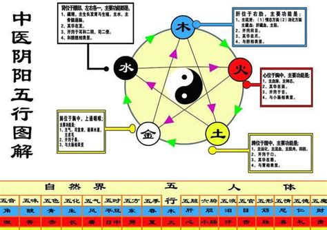 金融五行属什么|各行业对应五行